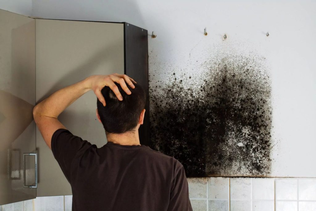 A man looks at a moldy kitchen wall, showcasing the need for black mold removal services in San Francisco, CA.