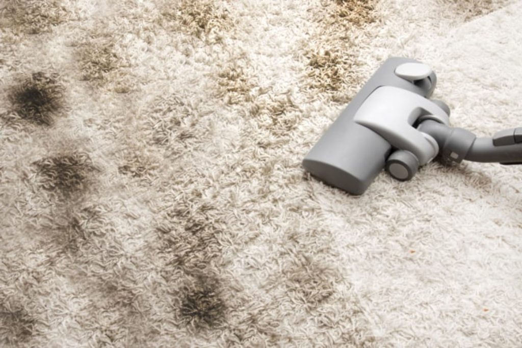 A vacuum cleaner is in use on a carpet, representing a mold removal service based in San Francisco, CA.