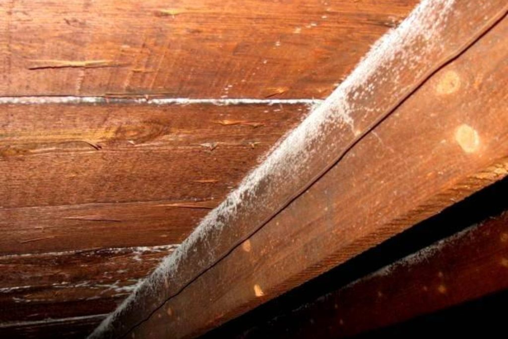 A damaged wooden ceiling with mold and water stains, illustrating the necessity for professional mold removal services in San Francisco.
