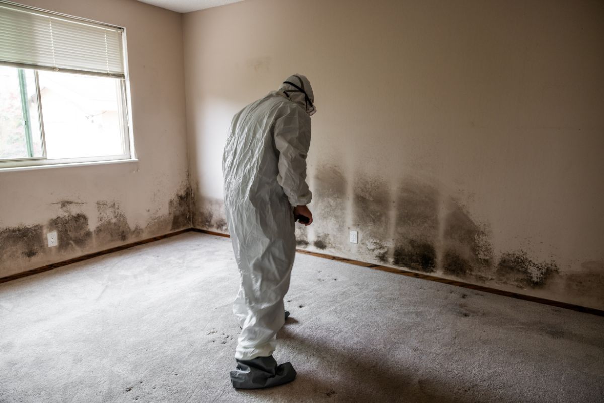  A man in a white suit stands in a room affected by mold, highlighting the contrast between his attire and the environment. 