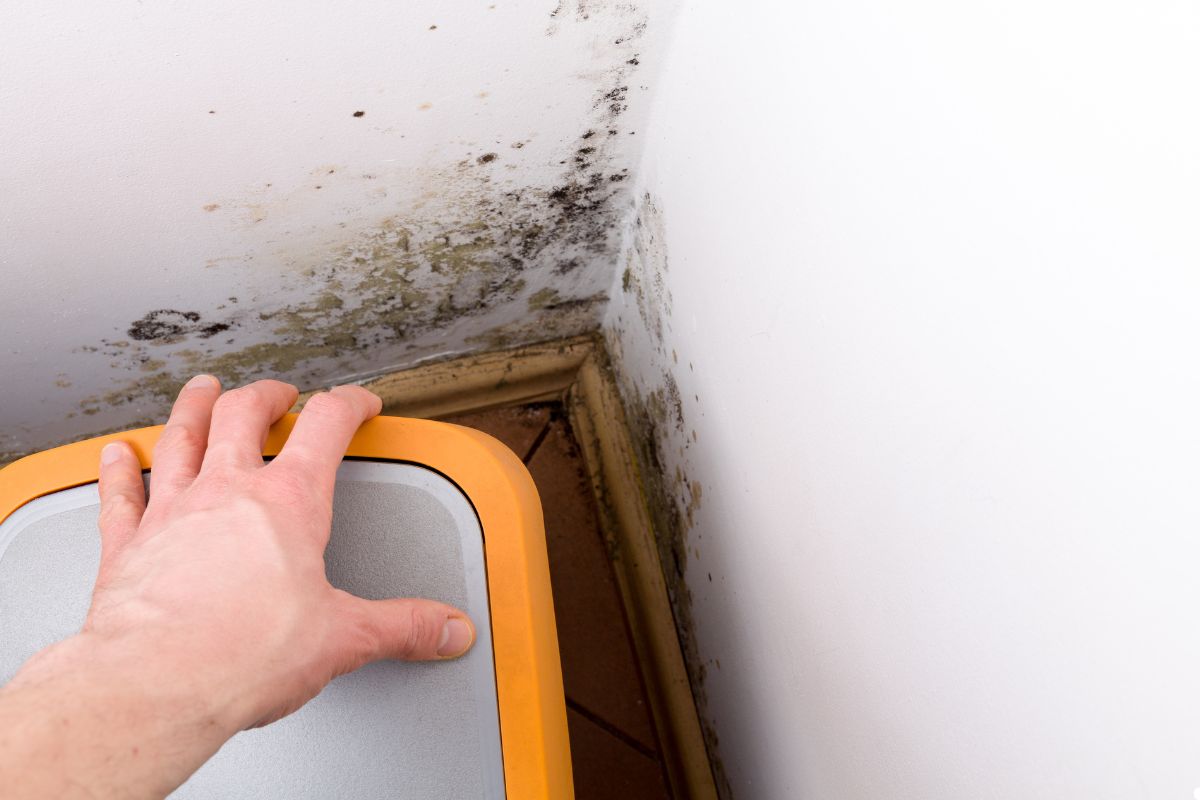 A hand reaches towards a trash can in a corner covered with black mold and water damage stains on the wall and floor.