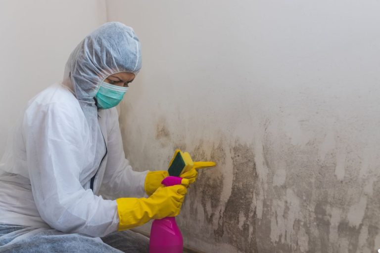 A person in protective clothing scrubs a wall stained with mold, using a sponge and spray bottle for cleaning.
