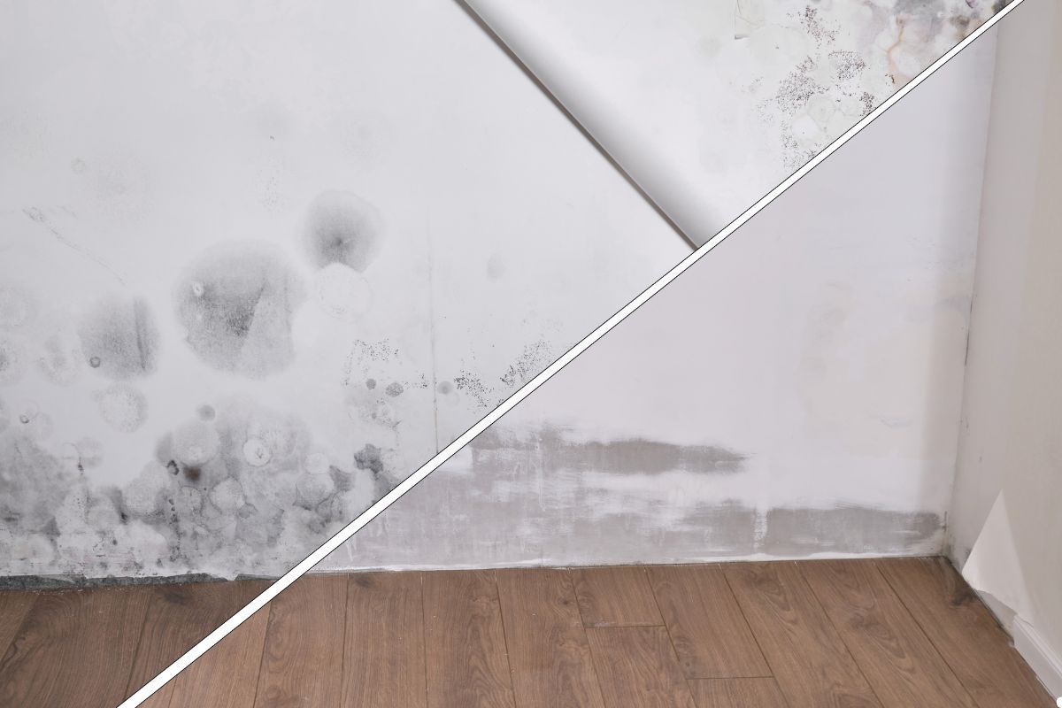 A split image shows a wall with mold on the left, and a clean, freshly repaired wall on the right, above wooden flooring.
