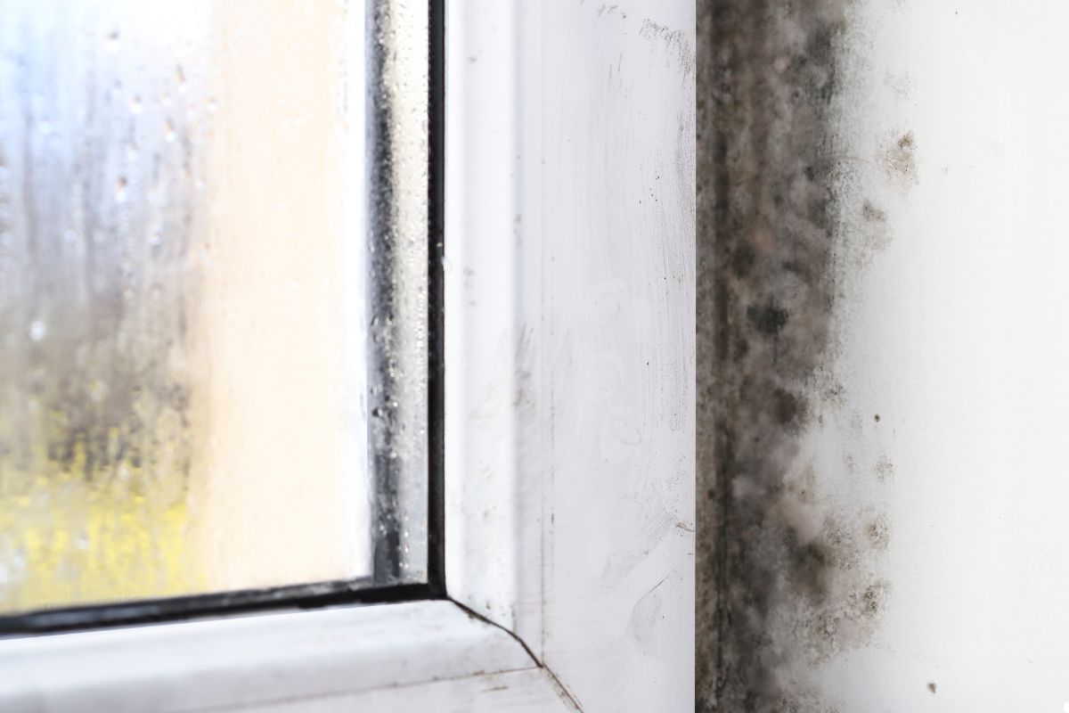 Close-up of a condensation-covered window pane, revealing mold growth in the corner, highlighting potential moisture issues.